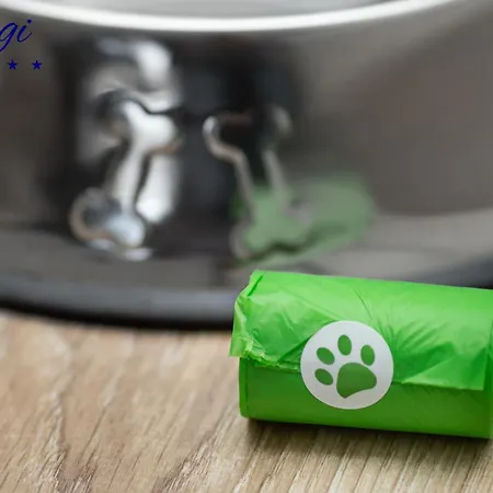 Margi Whisky Lux Aircon * Szczecin