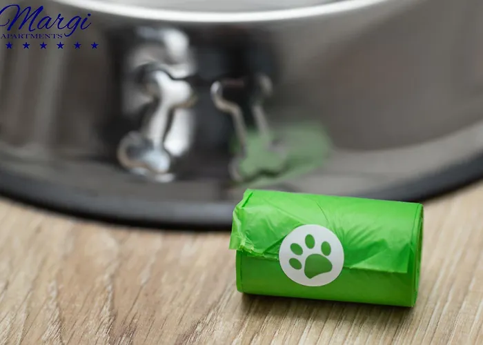 Margi Whisky Lux Aircon * Szczecin